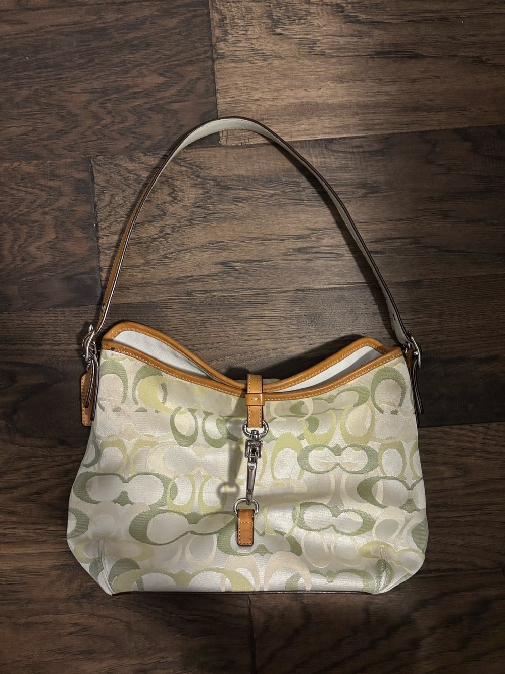 Coach Signature Canvas Hobo Bag